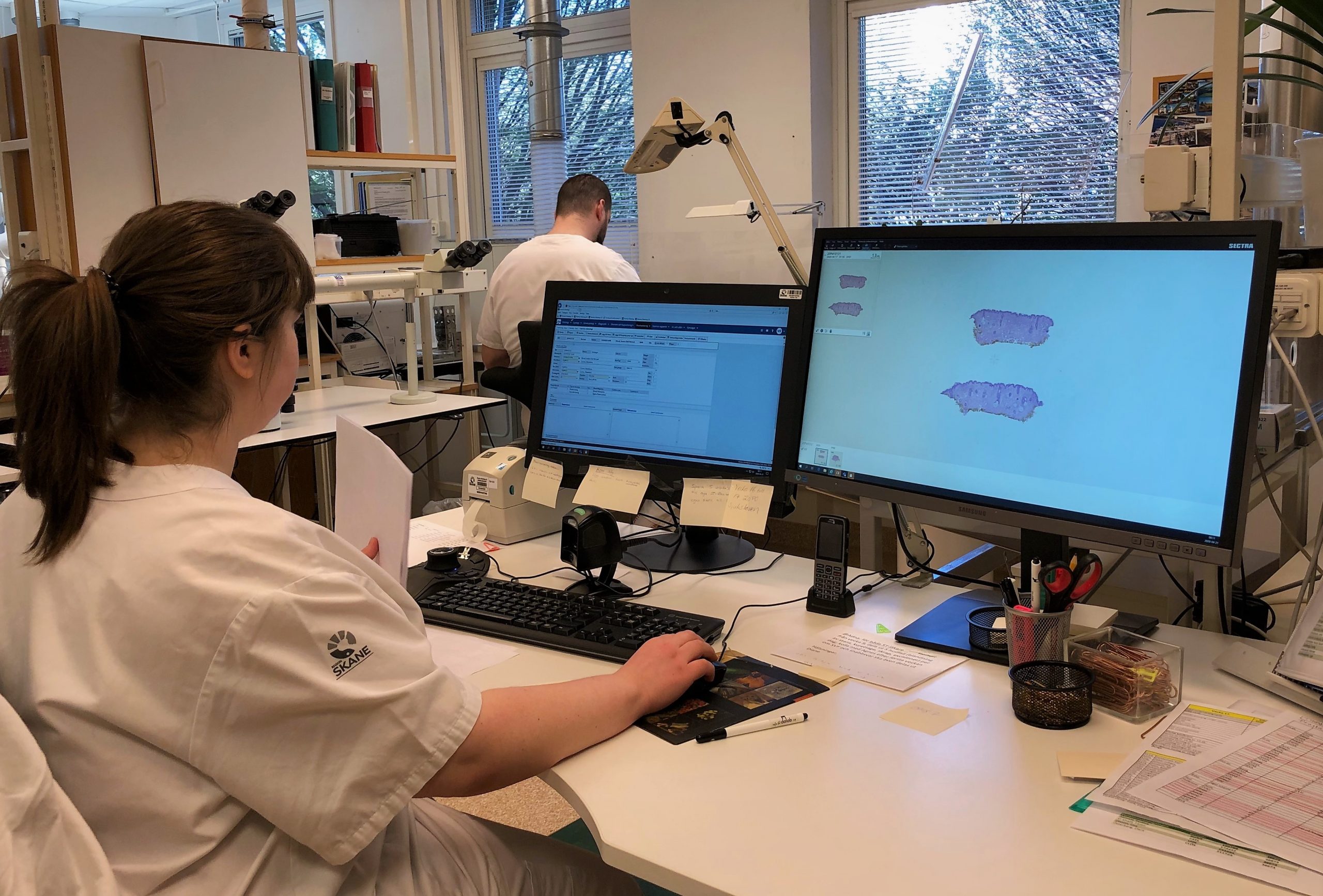 Quality review at a pathology lab in Region Skåne, Sweden