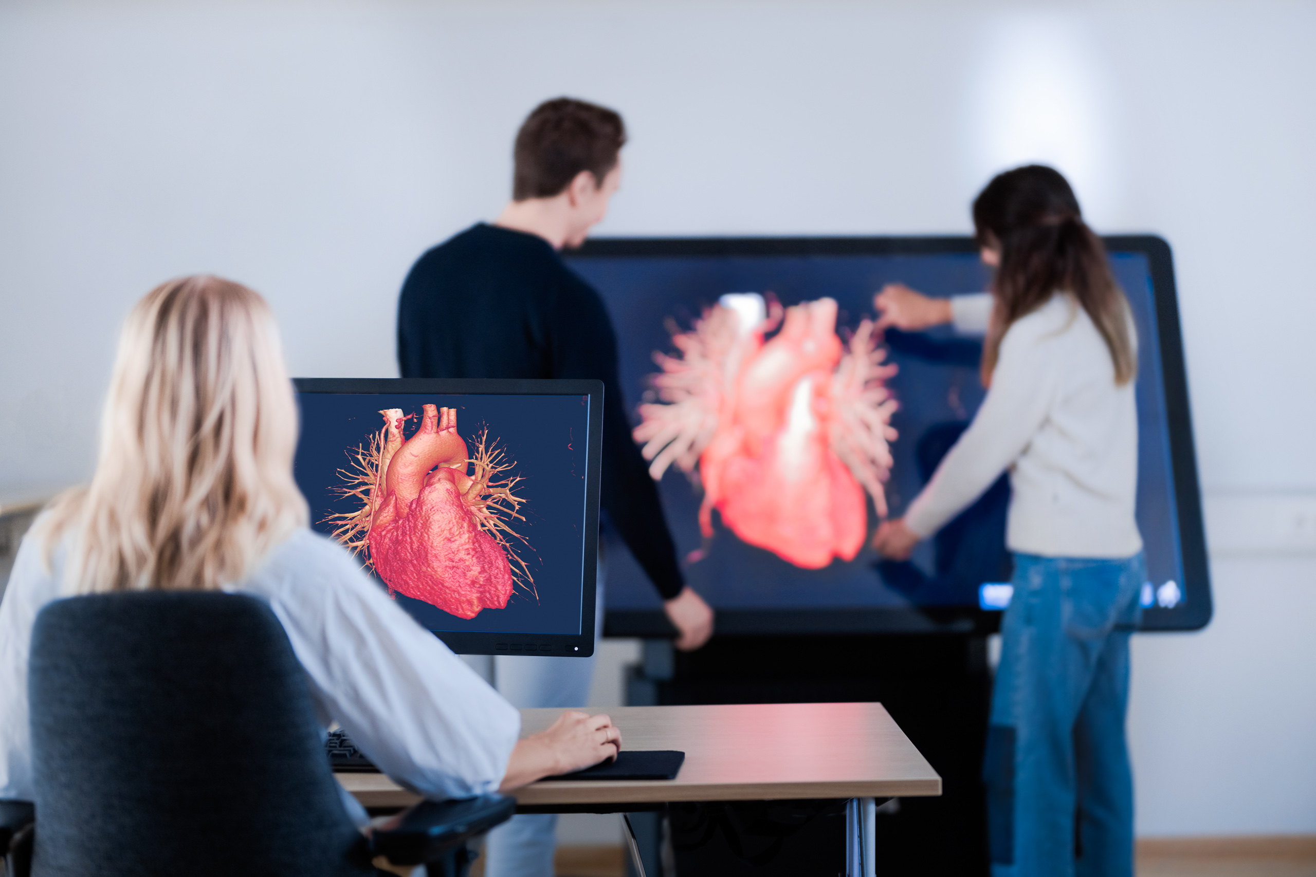 Medical students interact with medical images